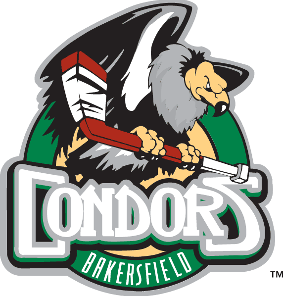 bakersfield condors 2003-2007 primary logo iron on transfers for T-shirts